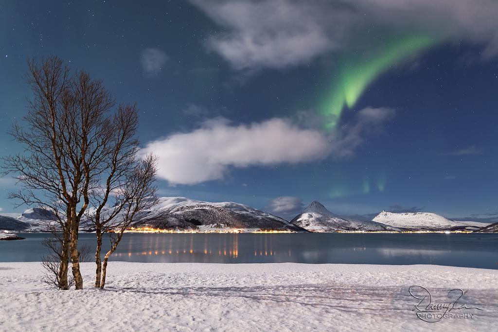Camp Fjordbotn Hotel Galnslatta ภายนอก รูปภาพ