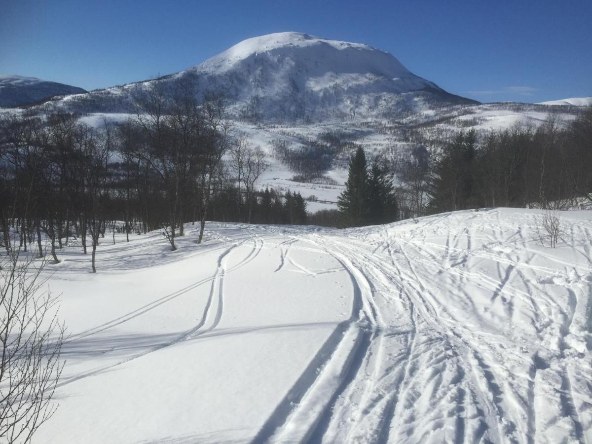 Camp Fjordbotn Hotel Galnslatta ภายนอก รูปภาพ